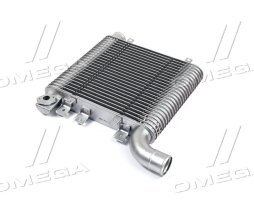 Інтеркулер Hyundai Santa Fe 06- (Ava)