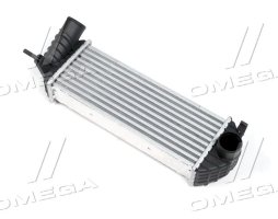 Інтеркулер RENAULT KANGOO (Ava)