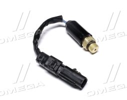 Датчик давления AXE13616 (JD)