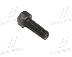 Болт M10 X 30 X 1,5 (10.9) фланцевий кріплення турбокомпресора (R520121) (JD)