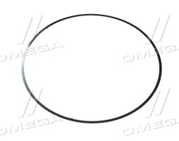 Кільце ущільнювальне гільзи-поршня TK=0.050 мм. JD8430/8530 (R93948) (JD)