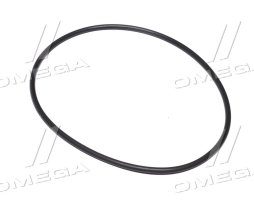 Кільце ущільнювальне 100 Х 3,0 мм ТНВД (R500318) (JD)