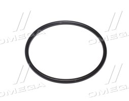 Кільце ущільнювальне шестерні паливного насоса JD8430/8530 (R521040) (JD)