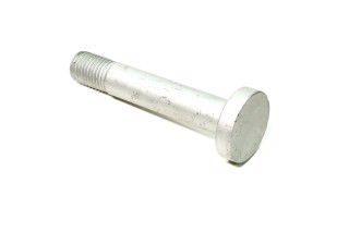 Болт М30*3,5*170 ресори BPW (вир-во Febi)
