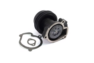 Насос водяной Д 245.10 Professional (RIDER)