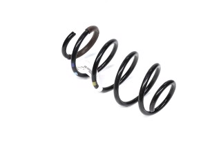 Пружинаамортизатора