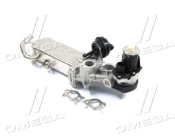 Клапан EGR (вир-во ASIN)