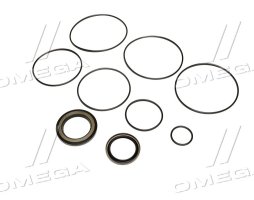 Набір ущільнень  гідромотора завантажувального шнека (AA46577) (Agri Parts)