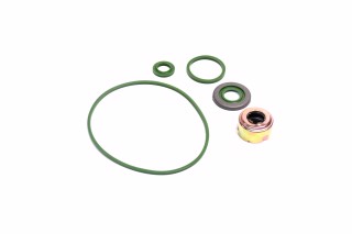 Р/к водяного насоса КАМАЗ (ФТОРСИЛІКОН, 5 найменувань) (DETALKA)