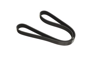 Пасок поліклиновий