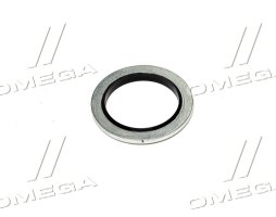 Прокладка зливної горловини двигуна PSA/RENAULT/VOLVO 16.7X24X1.5 (вир-во Payen)