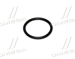 Кільце ущільнююче маслозливної пробки OPEL/CHEVROLET 18*22*2 резина (вир-во Payen)