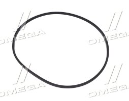 Сальник переднего моста (R158630) (John Deere)