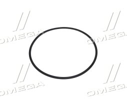 Уплотнительное кольцо дифференциала (R192356) (John Deere)