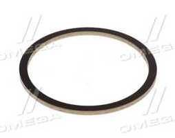 Упорна шайба (R95895) (John Deere)