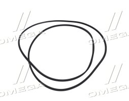 Кільце ущільнювальне гальмівного диска (R125667) (John Deere)