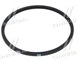 Кільце ущільнювальне (R43660) (DZ118284) (John Deere)