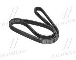 Пасок поліклиновий