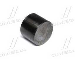 Гідрокомпенсатор, штовхач клапана