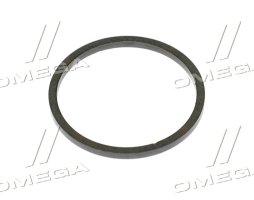 Сальник поршня та штока (YZ250161) (John Deere)