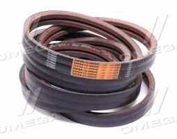 Ремень многоручьевой  CLAAS(TIMKEN BELTS)