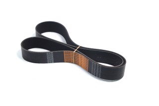 Ремень многоручьевой Massey Ferguson(TIMKEN BELTS)