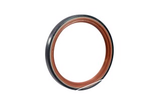 Сальник двигуна REAR RENAULT 90X110X11 (вир-во Payen)