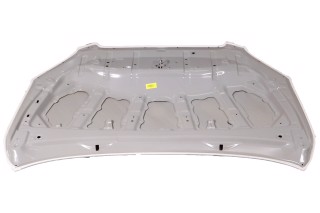 Капот TOY RAV4 06-10 (TEMPEST)