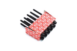 Комплект болтів головки циліндрів VAG 1.6 MPi CWVA/CWVB 14- (вир-во Elring)