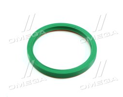 Сальник маточини задньої КАМАЗ Е2,Е3 (142х168х15, NBR, з кришкою пластиковою) (DETALKA)