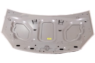 Капот REN SANDERO 08-13 (TEMPEST)