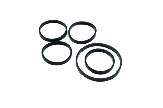 Комплект прокладок, впускний коллектор FIAT 1.6 16V 182 A4.000/182 A6.000  (5 кілець) (вир-во PAYEN)