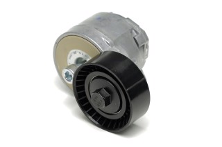 Ролик натяжний ременя поліклінового (Вир-во SKF)