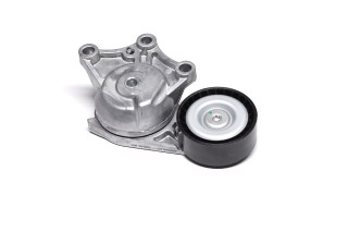 Ролик натяжний ременя поліклінового (Вир-во SKF)