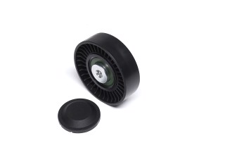 Ролик обвідний поліклінового ременя (Вир-во SKF)