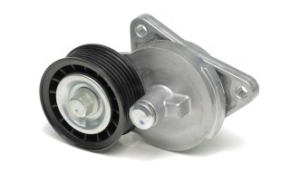 Ролик натяжний ременя поліклінового (Вир-во SKF)