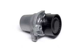 Ролик натяжний ременя поліклінового (Вир-во SKF)