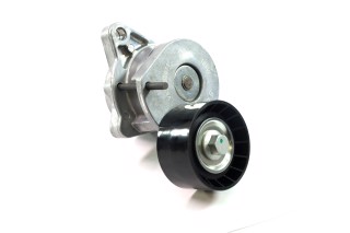 Ролик натяжний ременя поліклінового (Вир-во SKF)