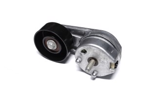 Ролик натяжний ременя поліклінового (Вир-во SKF)