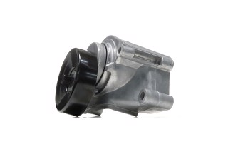 Ролик натяжний ременя поліклінового (Вир-во SKF)