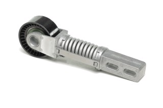 Ролик натяжний ременя поліклінового (Вир-во SKF)