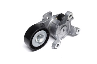 Ролик натяжний ременя поліклінового (Вир-во SKF)