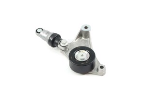 Ролик натяжний ременя поліклінового (Вир-во SKF)