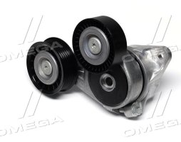 Ролик натяжний ременя поліклінового (Вир-во SKF)