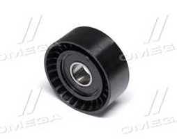 Ролик обвідний поліклінового ременя (Вир-во NTN-SNR)