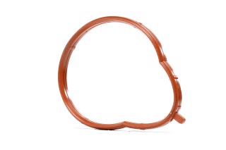 Прокладка впускного колектора 1 шт BMW - M43 B19 (4) (вир-во Fischer)