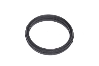 Прокладка впускного колектора (вир-во Fischer)