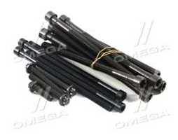 Комплект болтів головки блоку циліндрів 18 шт BMW N55 B30 (вир-во Elring)