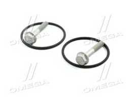 Комплект прокладок, насос гідропідсилювача Borg Warner VAG (вир-во Elring)