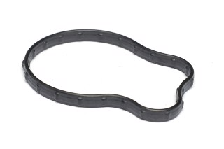 Кільце ущільнююче, термостат Chrysler/JEEP 3,6 ERC V6 16- (вир-во Elring)